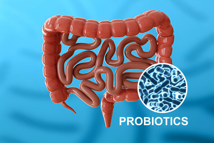 سویه های مختلف پروبیوتیک دارای مزایای متفاوتی هستند.